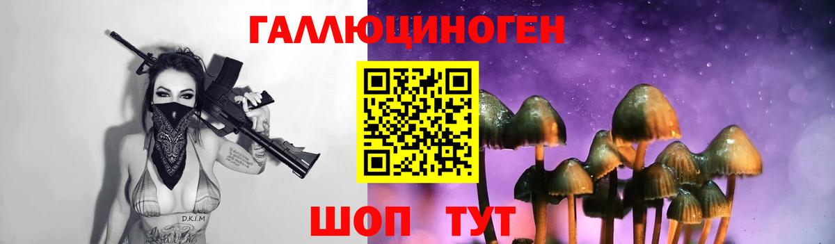 Коркино  Псилоцибиновые грибы мухоморы  даркнет сайт  Вход с VPN  Галлюциногенные грибы Psilocybine cubensis 